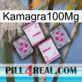 Kamagra100Mg 33